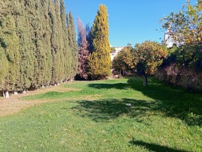 Jardín